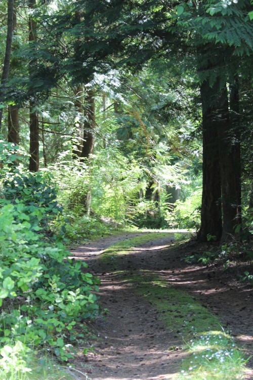 Entrance from the Road
